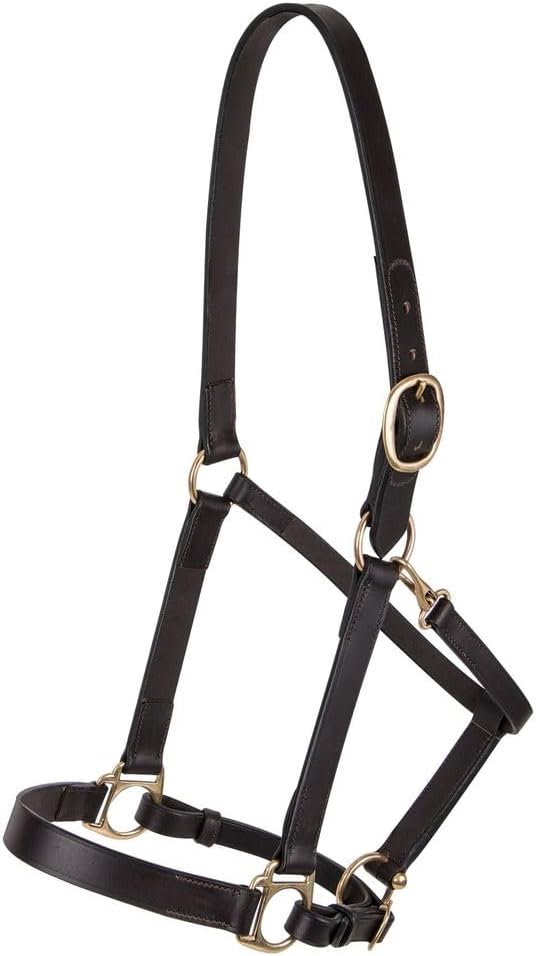 Dura-Tech Premier Lancaster Leather Halter for Horses | Simple Economy Leather Halter with