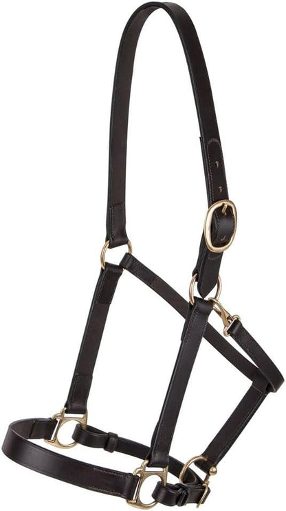 Dura-Tech Premier Lancaster Leather Halter for Horses | Simple Economy Leather Halter with