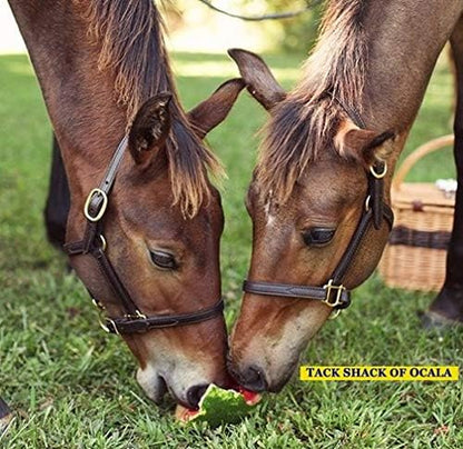 Leather Mini or Suckling Foal Size Horse Halter | Brown Leather with Solid Brass Hardware |