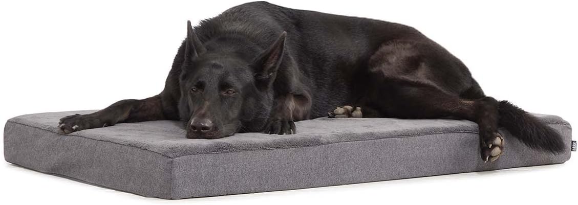 Barkbox Orthopedic Dog Bed with Memory Foam, Premium Comfort for Dogs and Puppies, Dog Bed for