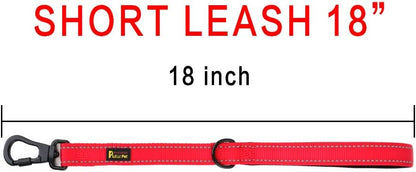 PLUTUS PET Short Training Dog Leash with Padded Handle for Medium Large Big Dogs,18 Inch Heavy Duty
