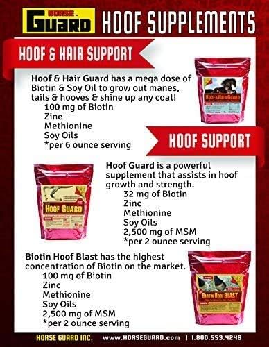 Horse Guard Hoof Supplements for Horses - 80 Servings - Biotin Hoof Blast 10lb Bag with 100mg