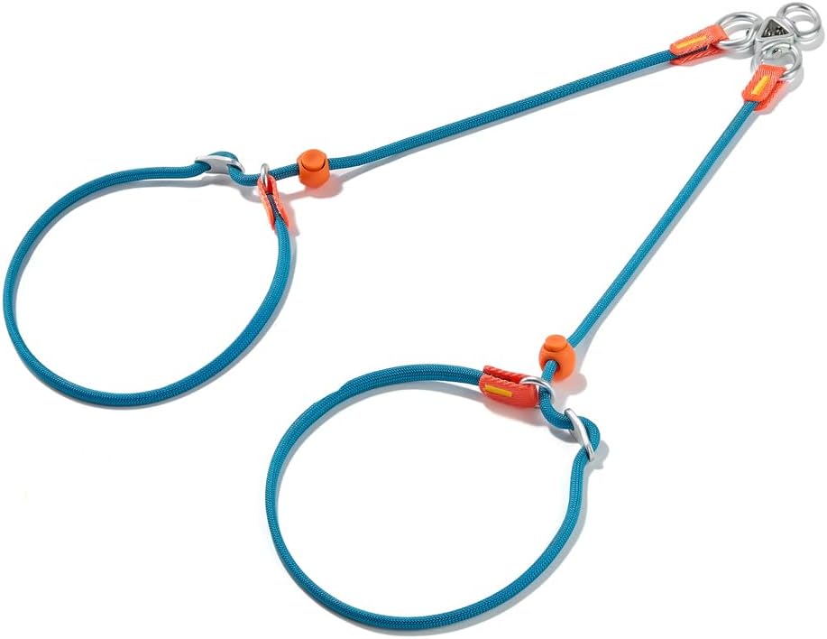 Howgo Double Slip Leash Slip Lead | Dual Dog Lead for 2 Dogs,360° Swivel No Tangle | Dog Training