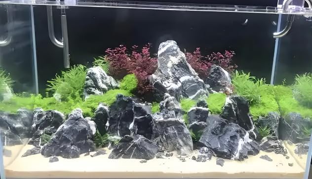 Seiryu Stone Natural Stone Rocks Fish Tank Decor Rocks for Aquariums Landscaping Model Tank