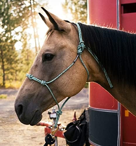 Horse Rope Training Halter - 4 Knot 1/4" Stiff Halter Cord - Used by Famous Trainers Multiple Sizes