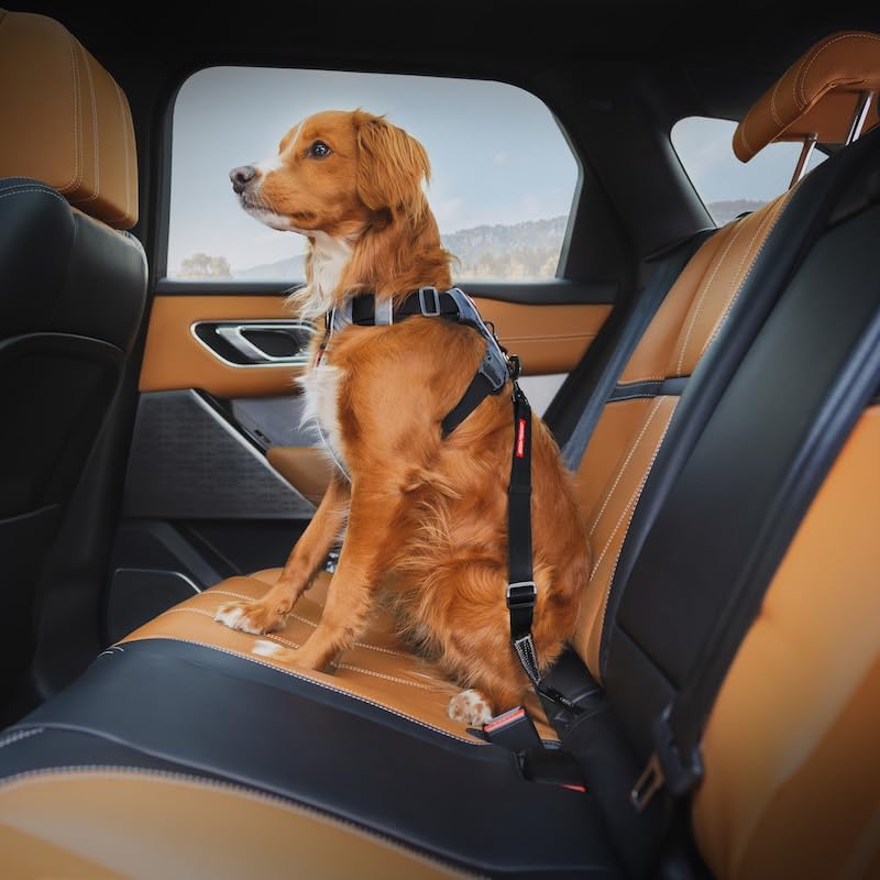 EzyDog Click ISOFIX Standard - Dog Seat Belt Car Harness Attachment for Dogs - Adjustable Dog