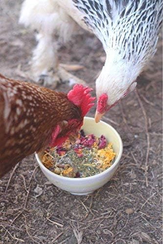 Pampered Chicken Mama Best Eggs Ever! Nesting Herbs for Chickens (4 Pounds) Calcium Supplement for