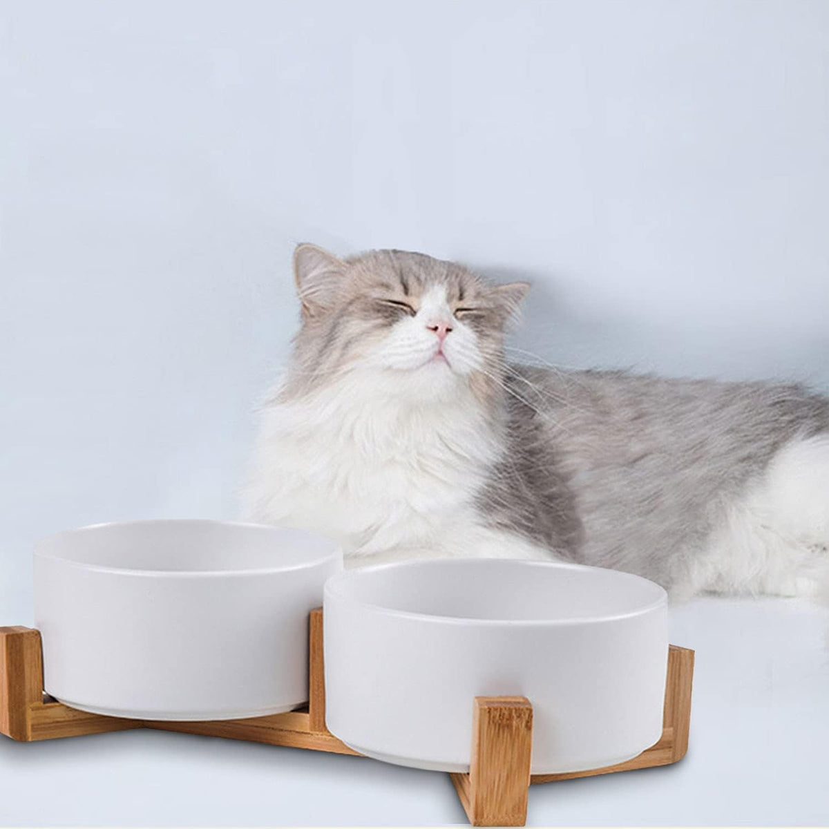 Petygooing Dog Bowls,White Ceramic Cat Dog Bowl Set with Wood Stand for Food and Water Feeder
