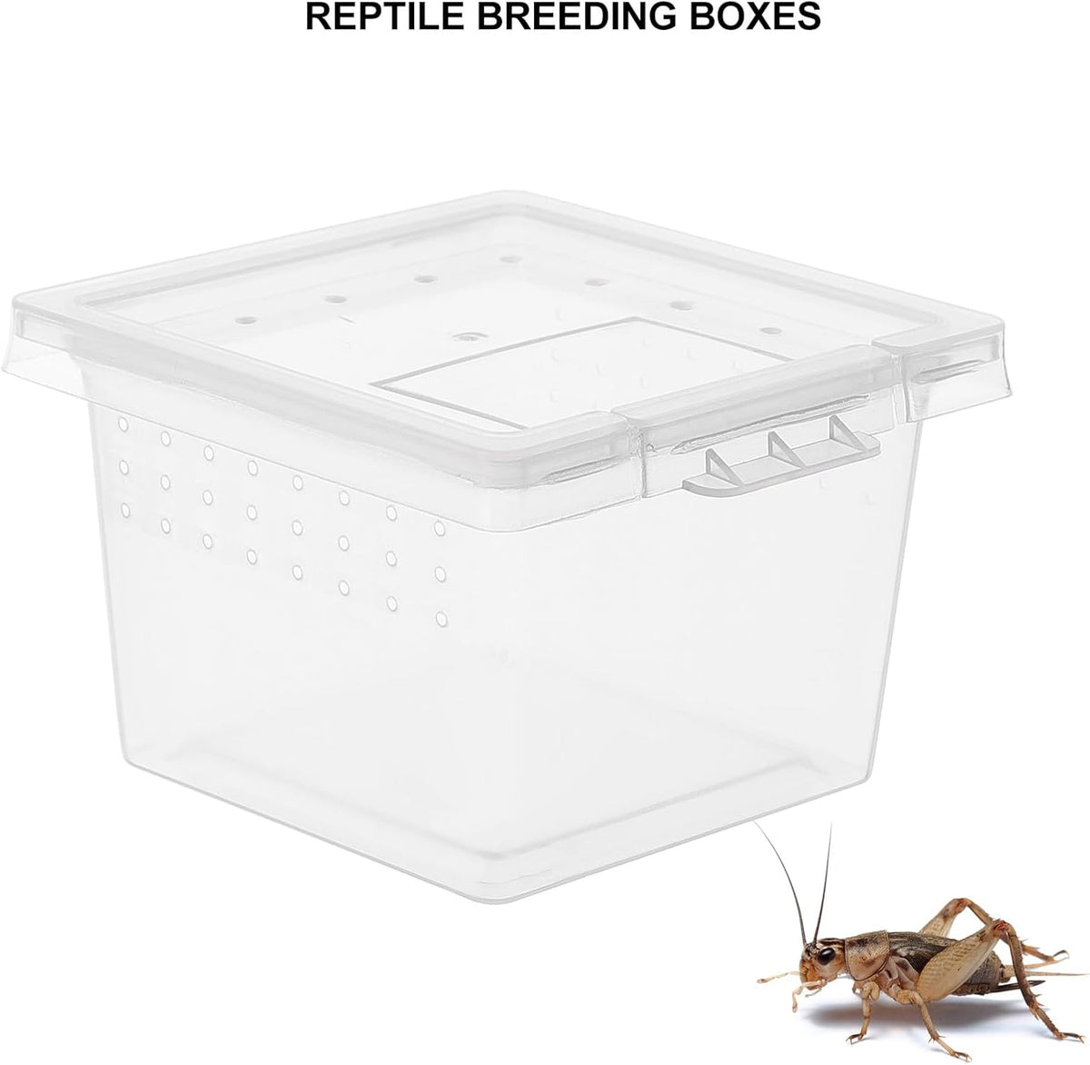 balacoo Reptile Feeding Box: 100Pcs Reptile Breeding Box Plastic Transparent Feeding Enclosure Case