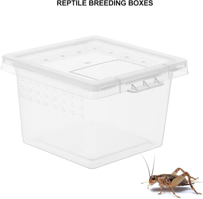 balacoo Reptile Feeding Box: 100Pcs Reptile Breeding Box Plastic Transparent Feeding Enclosure Case
