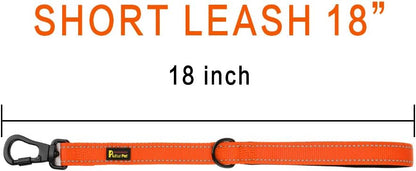 PLUTUS PET Short Training Dog Leash with Padded Handle for Medium Large Big Dogs,18 Inch Heavy Duty