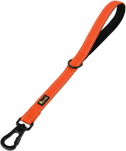 PLUTUS PET Short Training Dog Leash with Padded Handle for Medium Large Big Dogs,18 Inch Heavy Duty