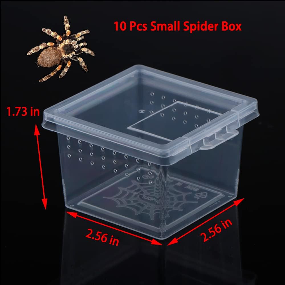 10 Pack Small Size Spider Terrariums Breeding Box Hatching Container Insect Scorpion Centipede