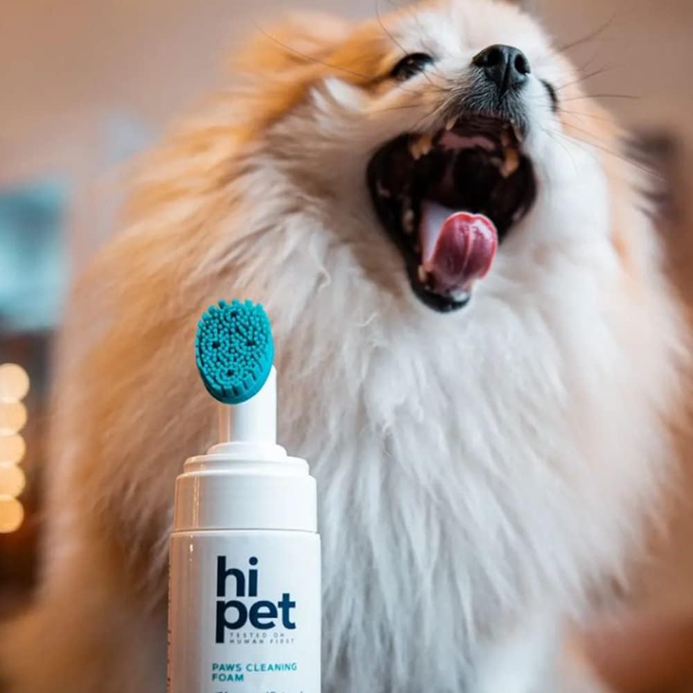 Hi Pet Dog Paw Cleaner Foam with Built-in Paw Scrubber Brush, Paw Cleaner for Dogs and Cats, Cat