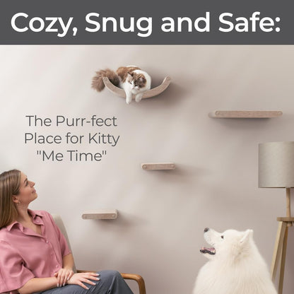 Wall Mounted Cat Shelves (Set of 4) by Pryde Pets - 100% Sustainable PET Felt Feline Enrichment