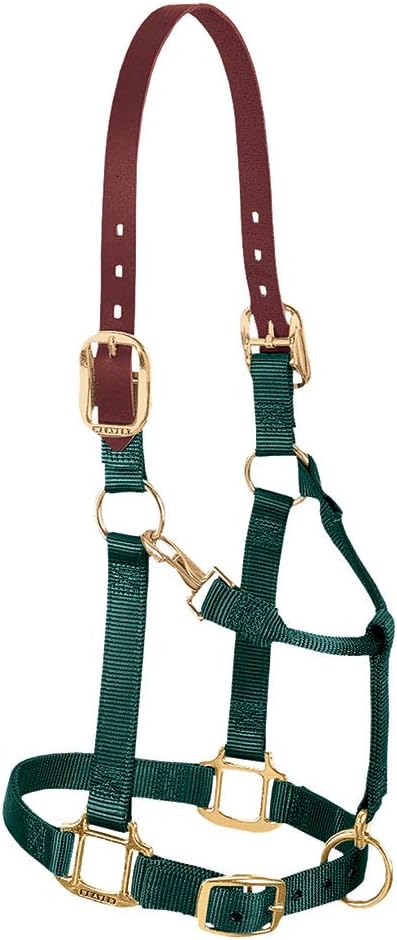 Weaver Equine Breakaway Horse Halter, Supple Leather Crown, Adjustable Chin & Throat Snap Halters
