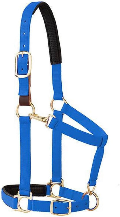 Weaver Equine Breakaway Horse Halter, Comfort Foam Padding, Adjustable Chin & Throat Snap Halters