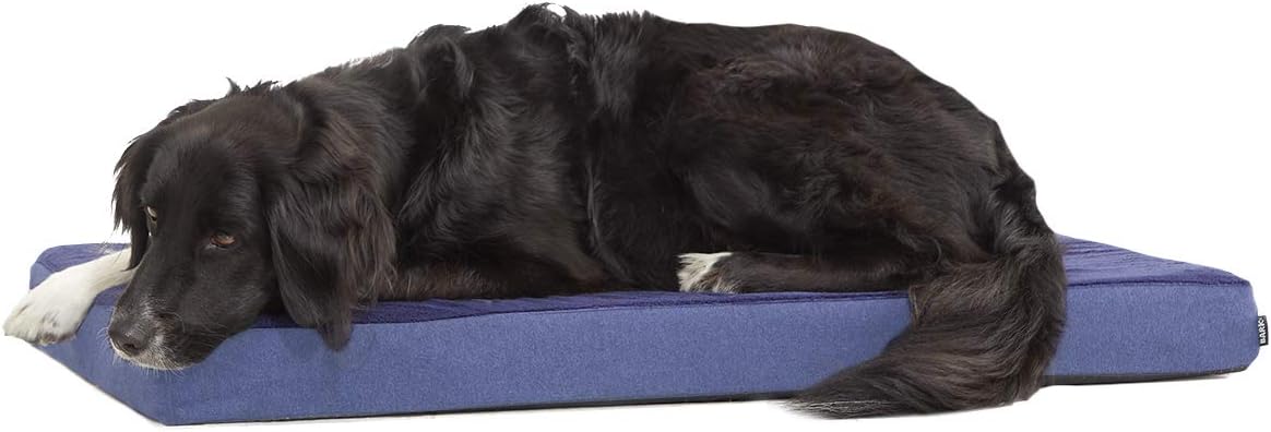 Barkbox Orthopedic Dog Bed with Memory Foam, Premium Comfort for Dogs and Puppies, Dog Bed for