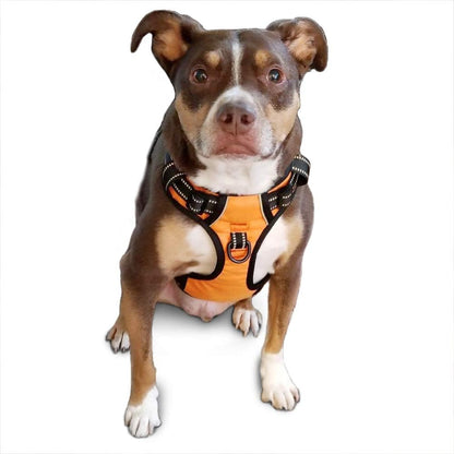 PoyPet No Pull Dog Harness, Reflective Comfortable Vest Harness with Front & Back 2 Leash