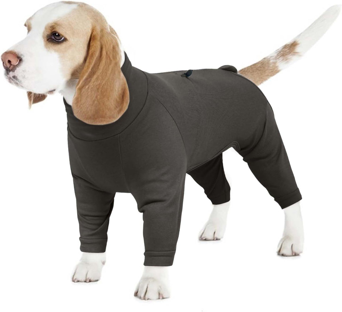 Small Dog Pajamas for Boys & Girls, Soft Dog Recovery Suit with Back Zipper & Adjustable