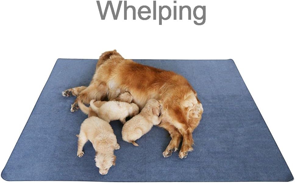 Peepeego Non-Slip Dog Pads Extra Large 72" x 72", Washable Puppy Pads with Fast Absorbent