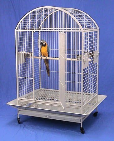XX Large DomeTop Wrought Iron Bird Parrot Cage, 40"x30"x66.5"H, 6mm Extra Strong Wire (Egg Shell