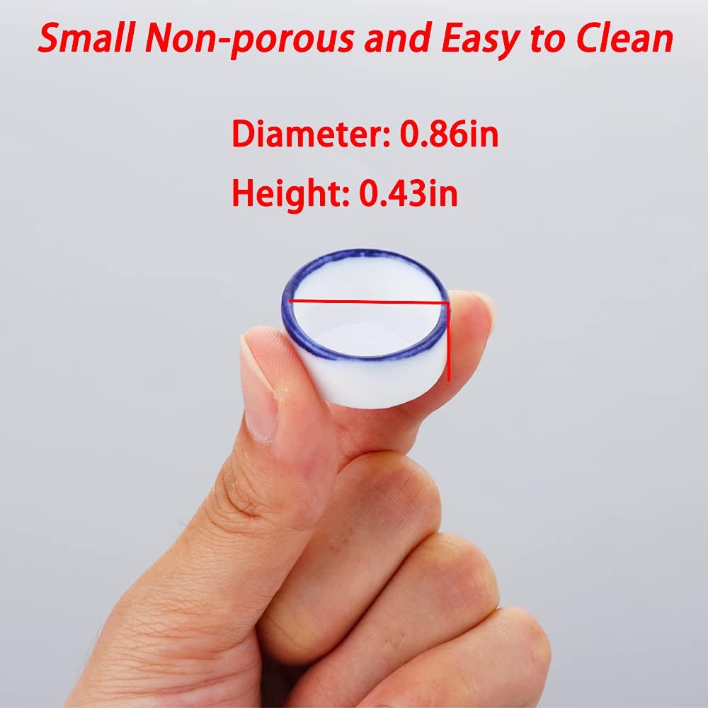 6 Pcs Spider Micro Water Bowl Mini Ceramic Dish for Spider Tarantula Millipede Tiny Reptile (Small: