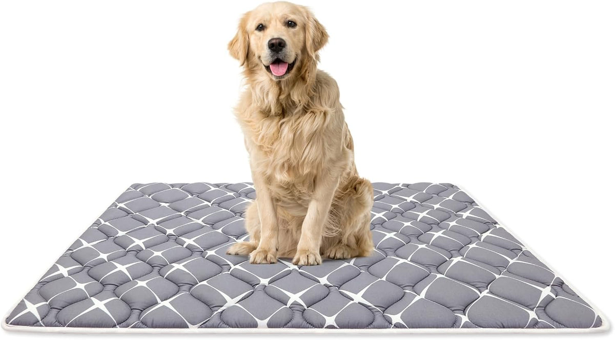 Bubble bear Dog Crate Mat - Ultra Soft, Washable & Anti-Slip Kennel Pad for Small/Medium/Large
