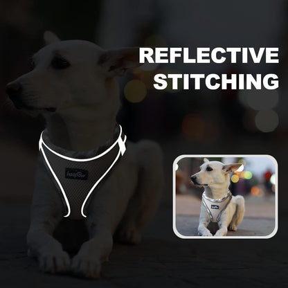 haapaw Dog Harness with Leash Set, No Pull Adjustable Reflective Step-in Puppy Harness with