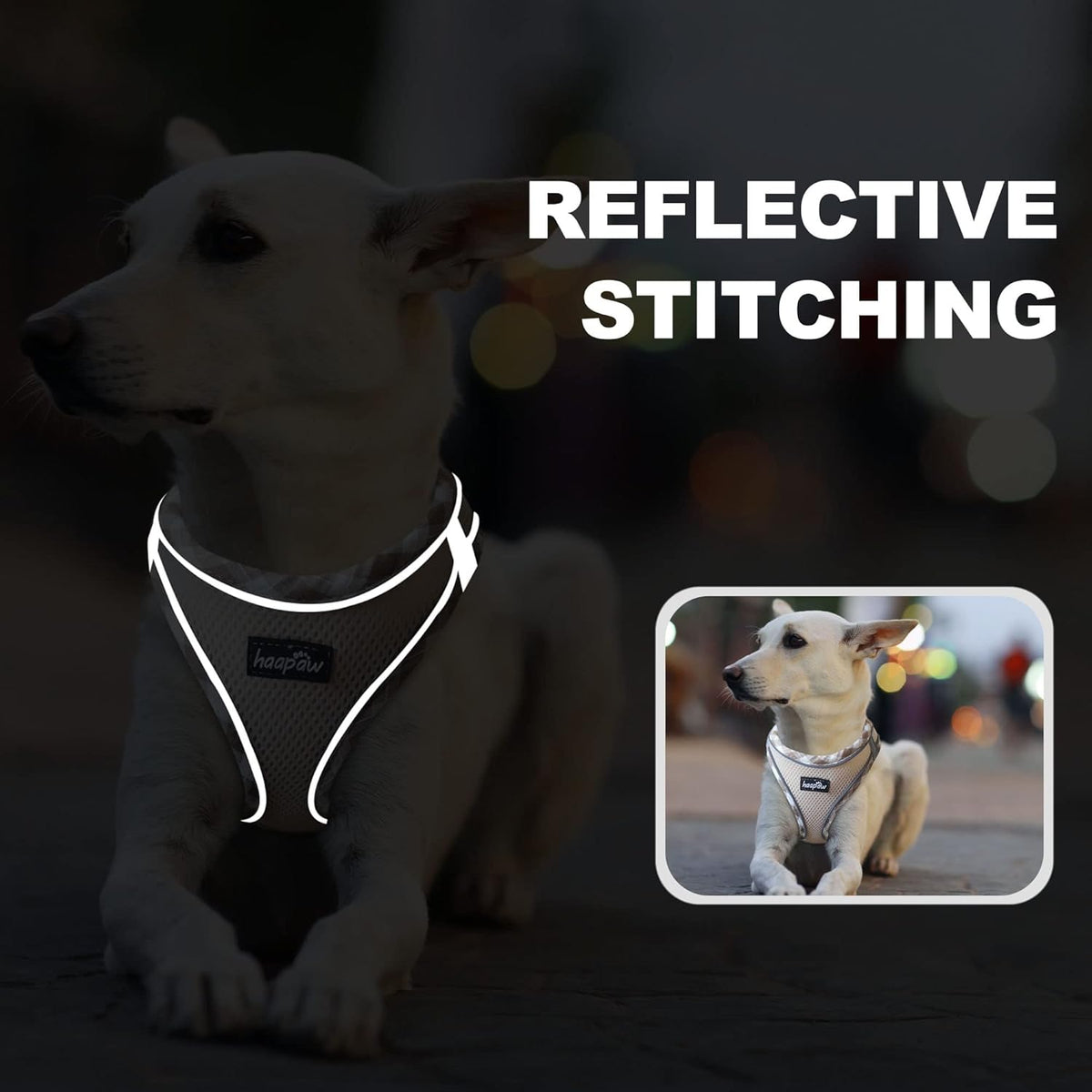 haapaw Dog Harness with Leash Set, No Pull Adjustable Reflective Step-in Puppy Harness with