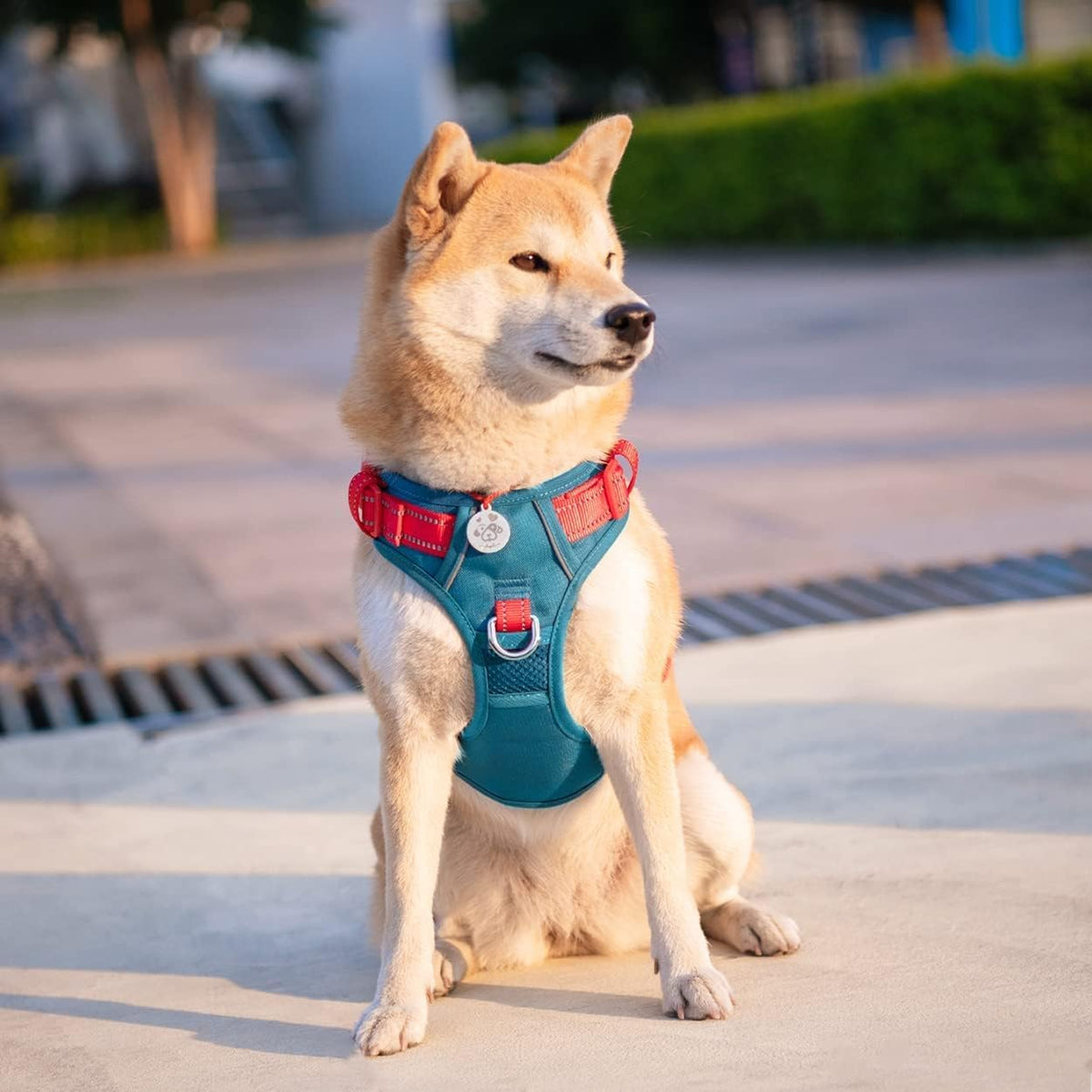 PHOEPET No Pull Dog Harness, Unique Colors Reflective Adjustable Dog Vest, with Soft Training