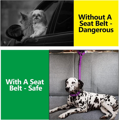 Plutus Pet Dog Seat Belt for Car Headrest, Reflective and Adjustable Restraint with Elastic Bungee