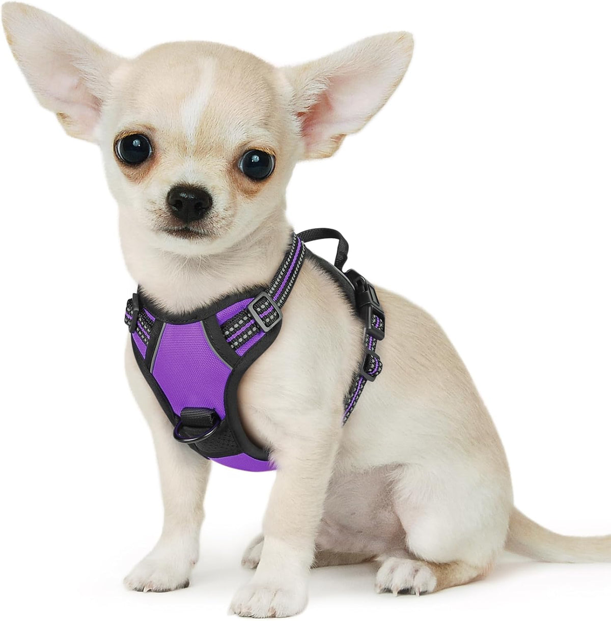 Eagloo Small Dog Harness No Pull, Service Vest with Reflective Strips and Control Handle