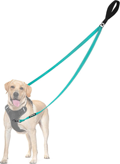 PetBonus Two Point Control Dog Leash, Works with No Pull Harnesses, No Tangle Dog Training Leashes