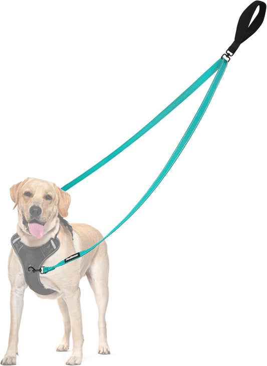 PetBonus Two Point Control Dog Leash, Works with No Pull Harnesses, No Tangle Dog Training Leashes