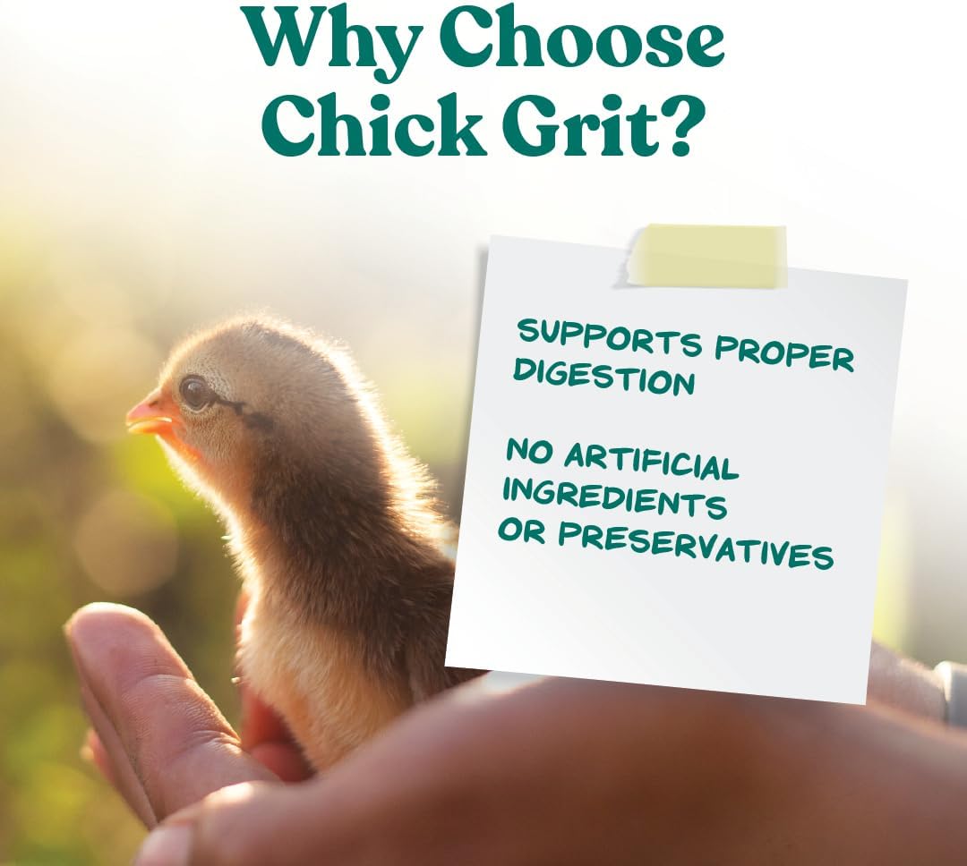 Manna Pro Chick Grit Digestive Supplement for Young Growing Poultry & Bantam Breeds, No Artificial