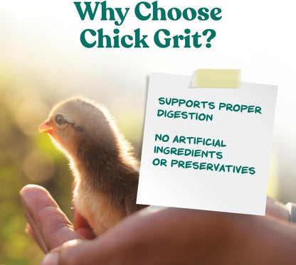 Manna Pro Chick Grit Digestive Supplement for Young Growing Poultry & Bantam Breeds, No Artificial