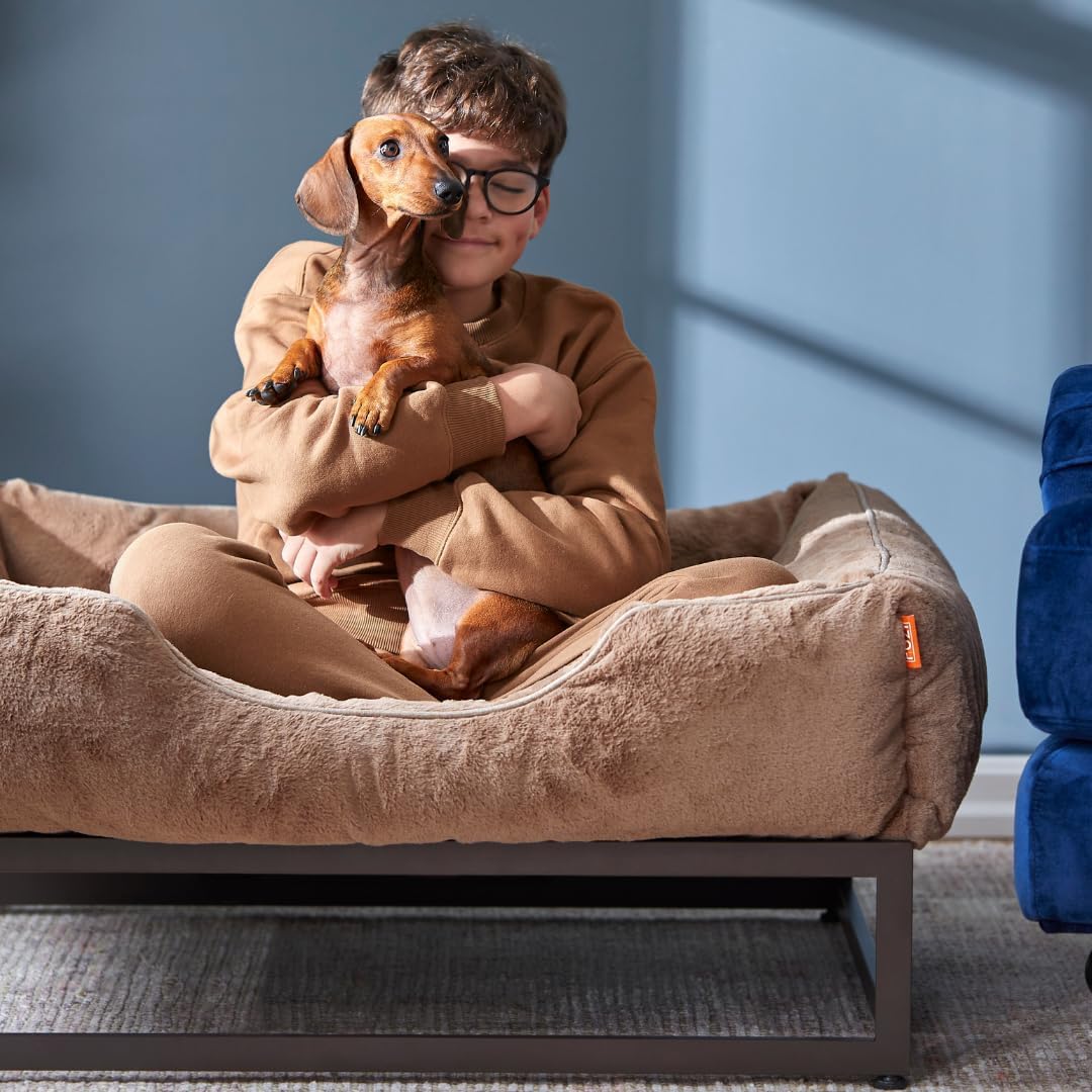 FUZI Luxury Aesthetic Dog Bed with Extra Cover for Small Dogs, Washable Pet Couch, Pet Bed with