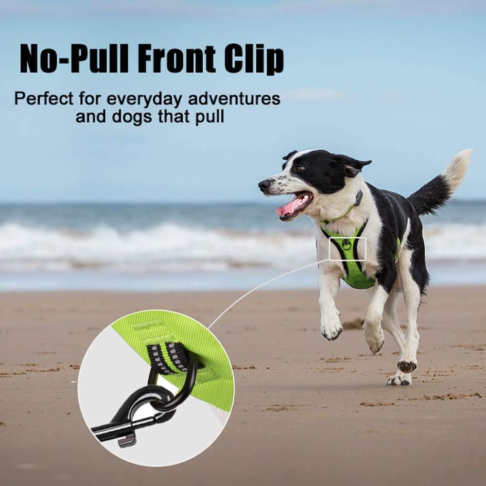 PoyPet No Pull Dog Harness, Reflective Comfortable Vest Harness with Front & Back 2 Leash