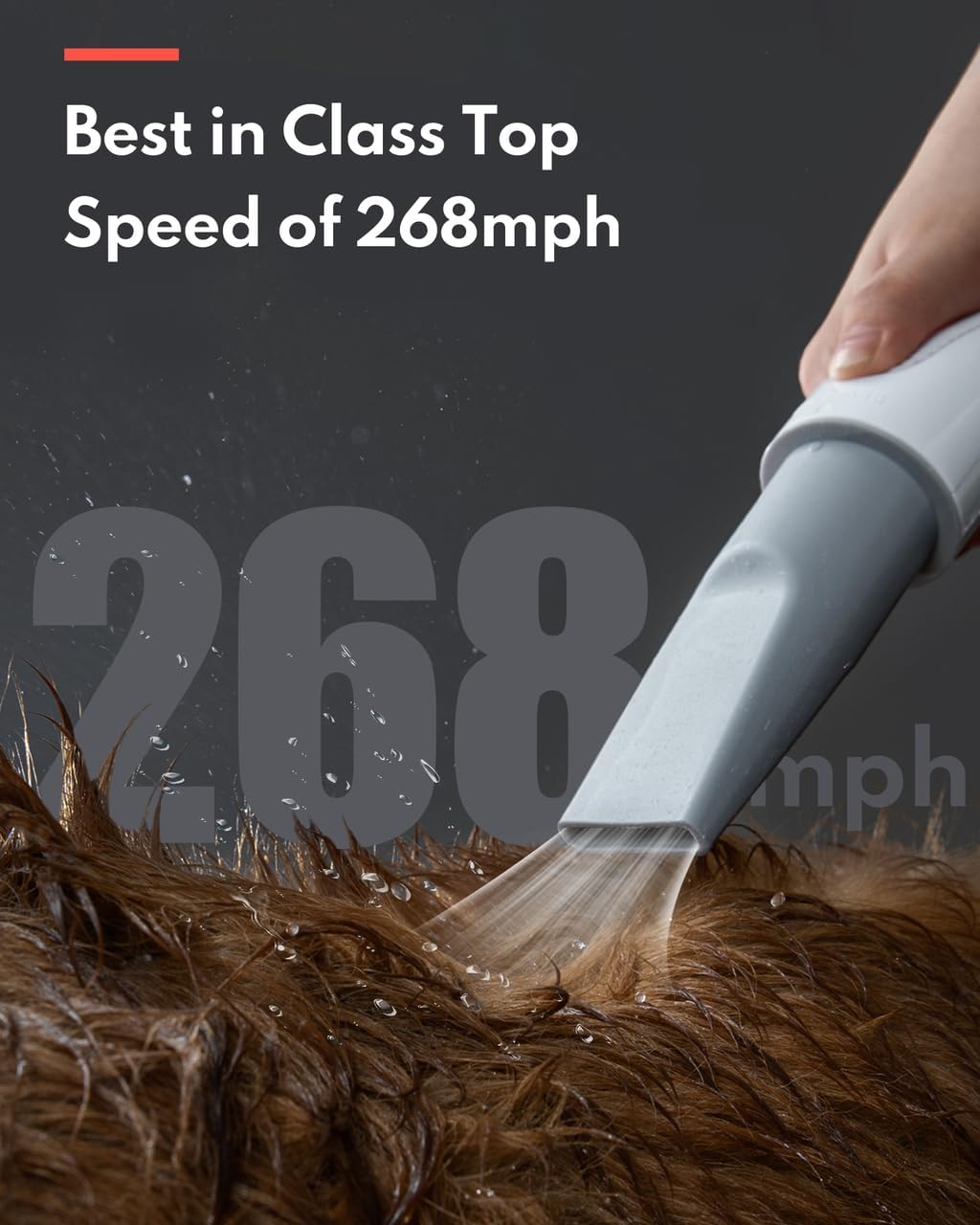 HomeRunPet Dog Dryer, Pet Hair Dryer with 99 Adjustable Wind Speed and Temperature Control, 3