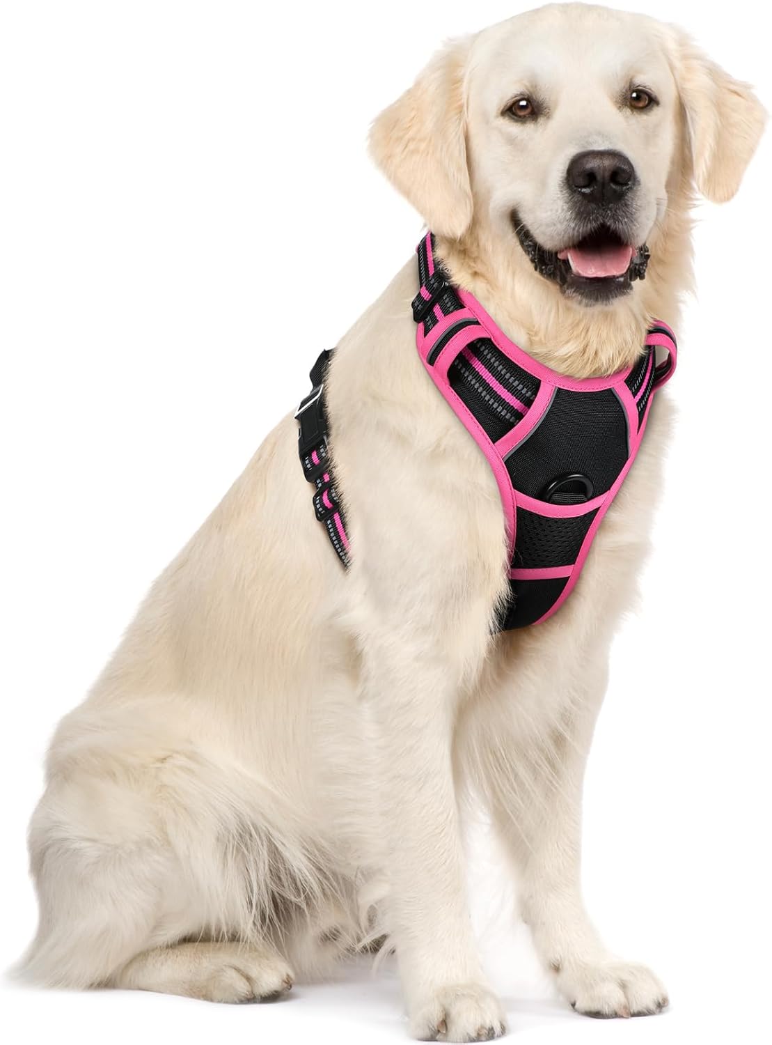 rabbitgoo Dog Harness No Pull with 2 Leash Clips, Adjustable Soft Padded, Reflective Oxford No