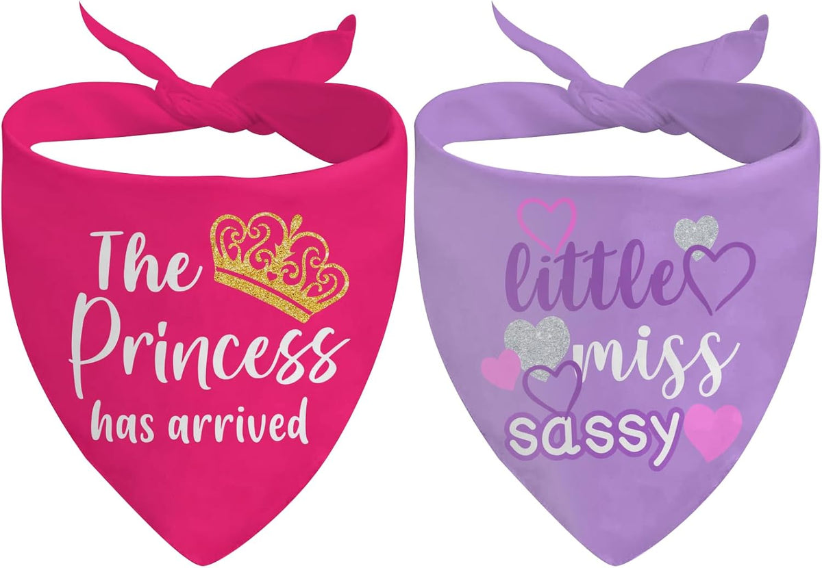 Puppy Bandana 2 Pcs, Princess Sassy Pet Scarf Gifts for Dog Girl, Pink Purple Cute Puppy Bandana