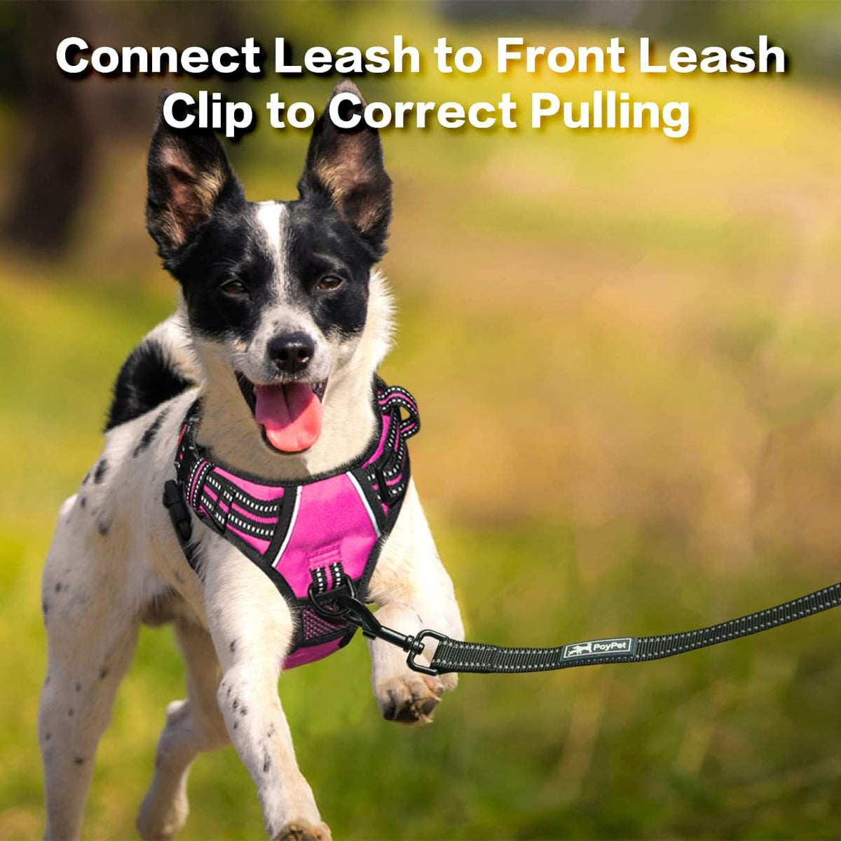 PoyPet No Pull Dog Harness, No Choke Front Clip Reflective Dog Vest with Soft Padded Vertical
