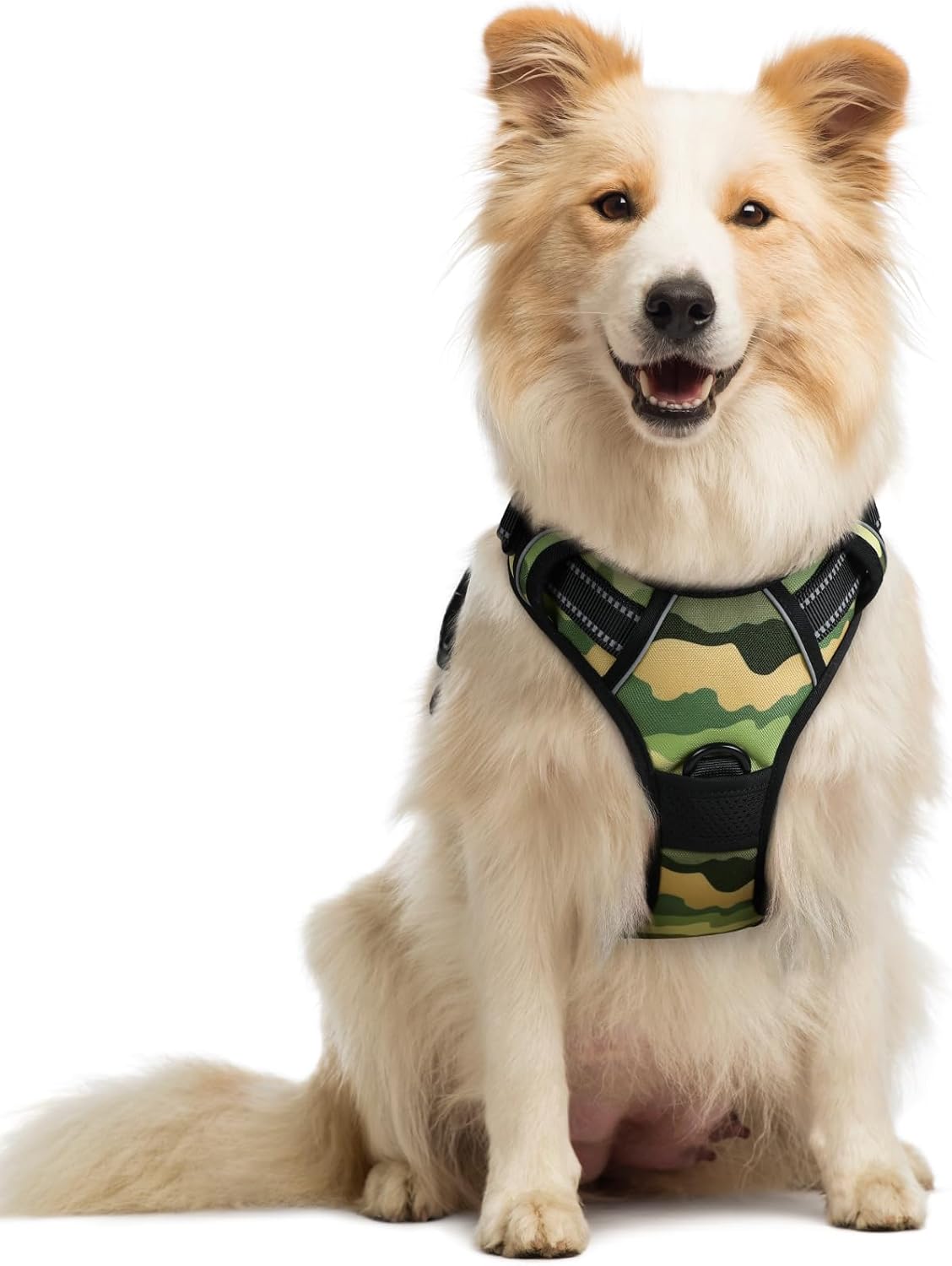 rabbitgoo Dog Harness No Pull with 2 Leash Clips, Adjustable Soft Padded, Reflective Oxford No