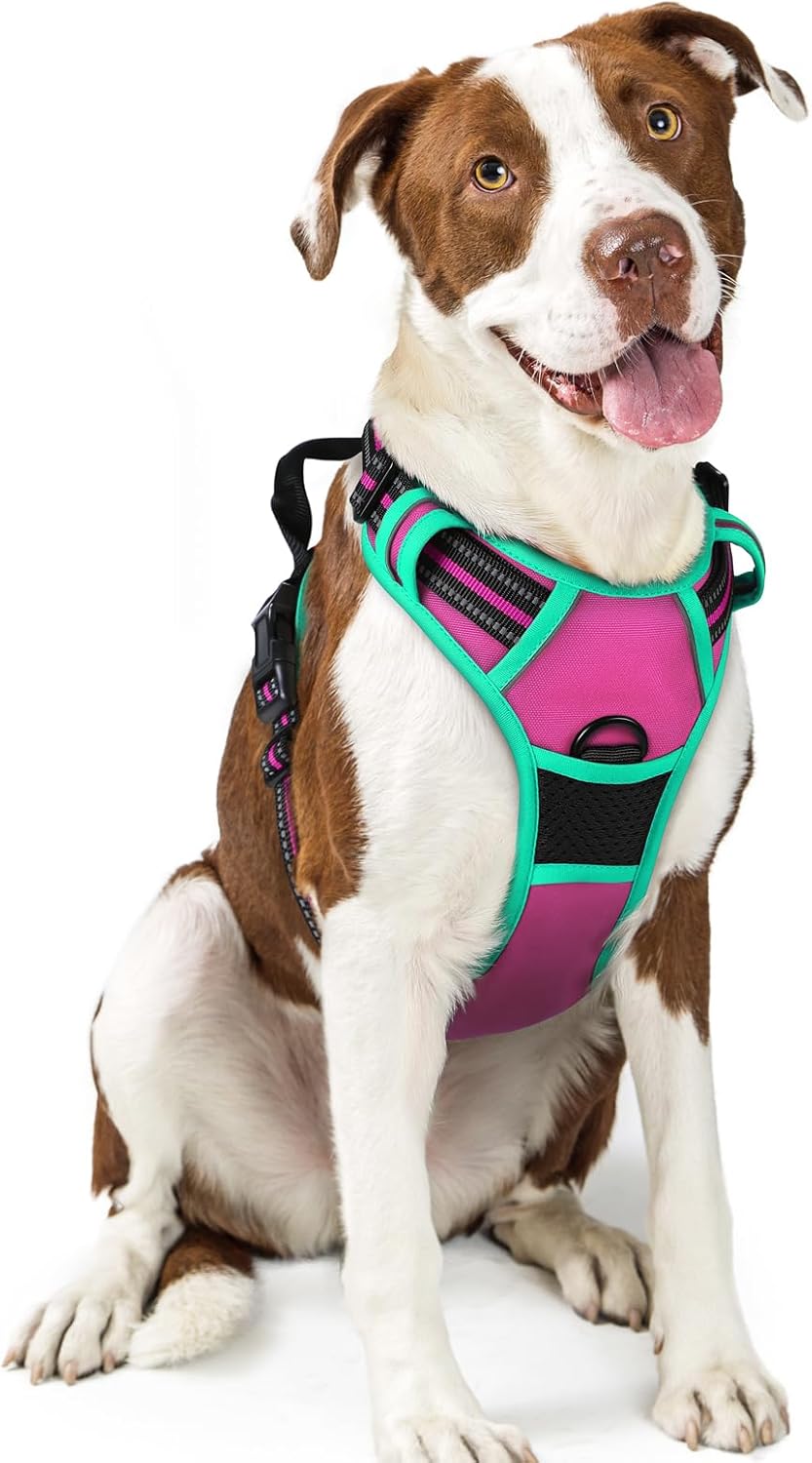 rabbitgoo Dog Harness No Pull with 2 Leash Clips, Adjustable Soft Padded, Reflective Oxford No