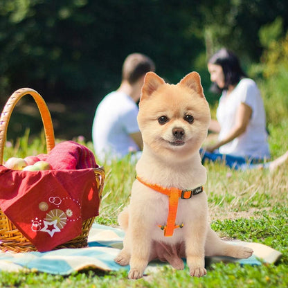 PUPTECK No Pull Dog Harness Soft Adjustable Basic Nylon Step in Puppy Vest Outdoor Walking with ID