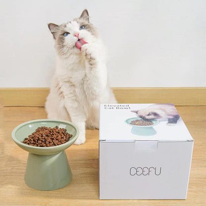 Extra Wide Elevated Ceramic Cat Food Bowl - 6.2" Shallow Dish for Whisker Fatigue Relief, 5" Height