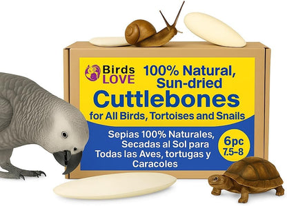 Birds LOVE Natural Cuttlebone – Premium Calcium & Trace Mineral Supplement for Tortoises, Snails