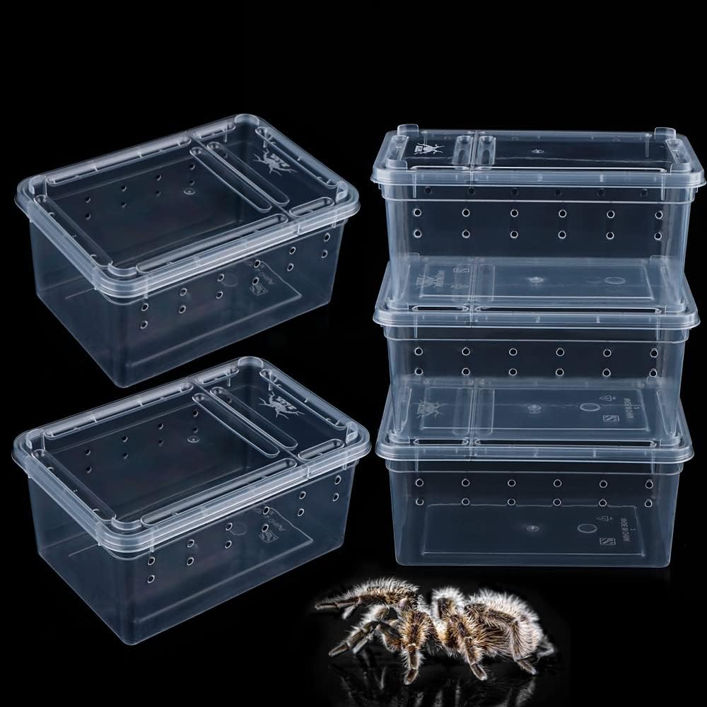 5 Pcs Spider Small Terrariums Breeding Box Transparent Hatching Container Plastic Feeding Box for