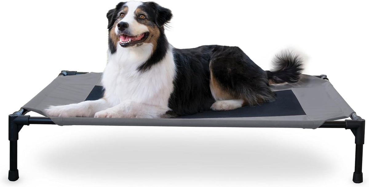 K&H Pet Products Outdoor Elevated Dog Cot, Breathable Cooling Elevated Cot Hammock Pet Bed for